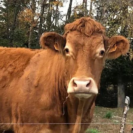 Apartamento L'étoile Des Neiges Confort Pour 4 Personnes Montclar (Alpes-de-Haute-Provence)