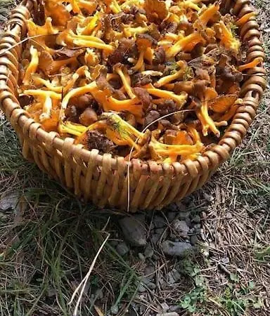 L'étoile Des Neiges Confort Pour 4 Personnes