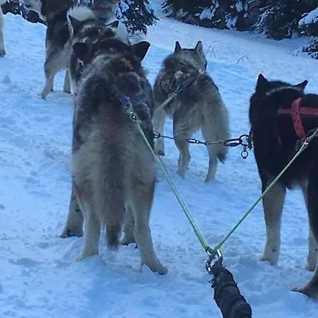 L'etoile Des Neiges Confort Pour 4 Personnes Montclar (Alpes-de-Haute-Provence)
